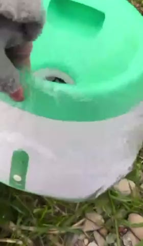 FetchMate™ Automatic Ball Launcher